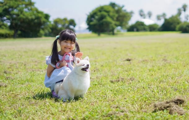 その他アクティビティ