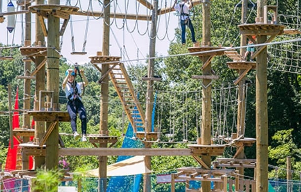 ツリーアドベンチャー