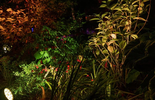 思い思いに過ごす、大自然の遊び場