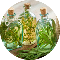 ワークショップ