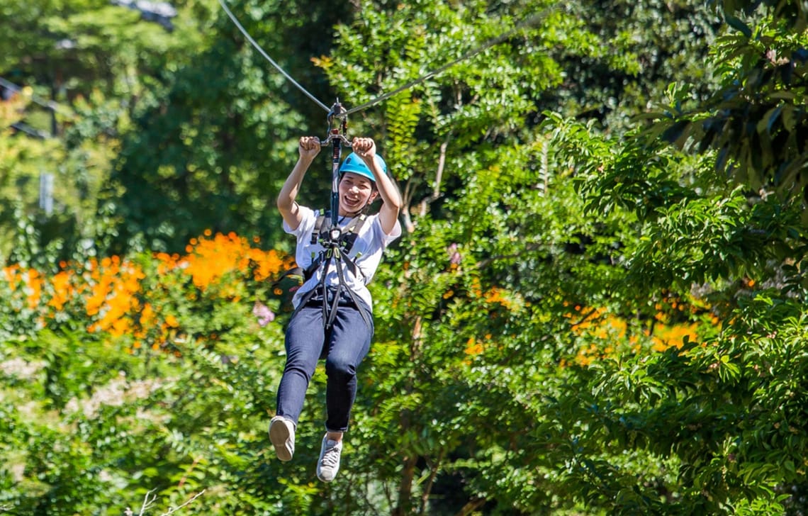 ツリーアドベンチャー イメージ