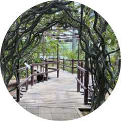 ナイトウォーク