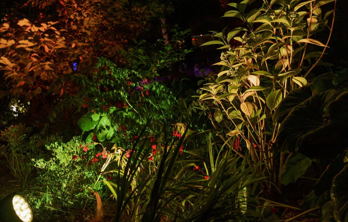 夜の熱帯植物館