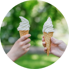 チェックイン＆植物園散策