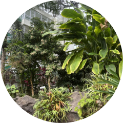 チェックイン＆植物園散策