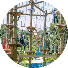 ツリーアドベンチャー