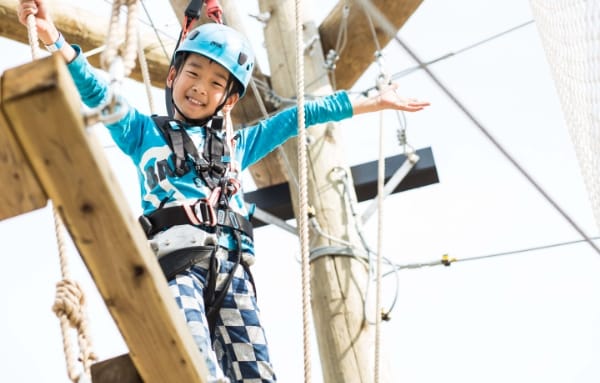 ツリーアドベンチャー イメージ
