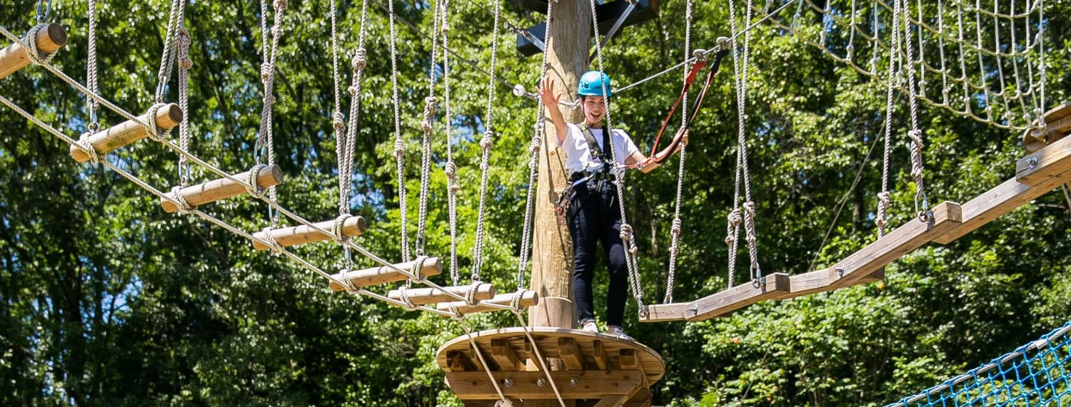 ツリーアドベンチャー イメージ