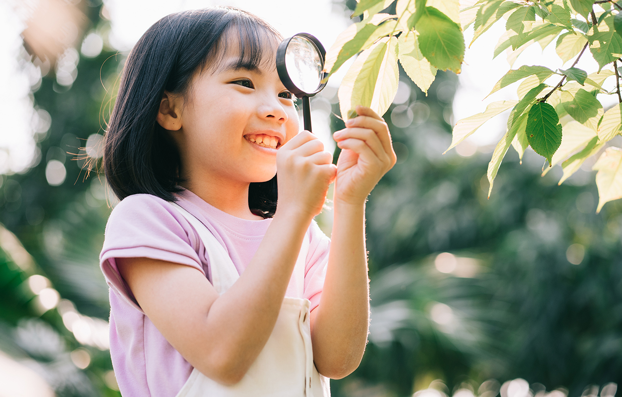 植物がもっと好きになる